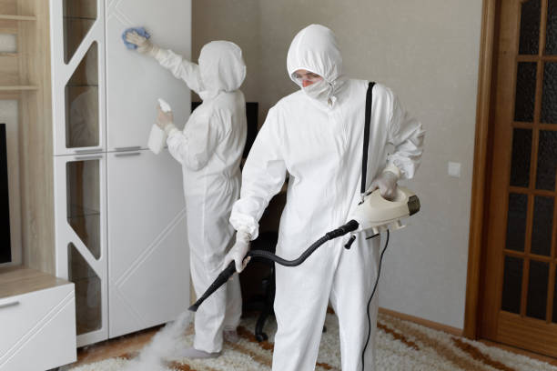 Water Damage Restoration in Palestine, IL
